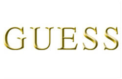 guess